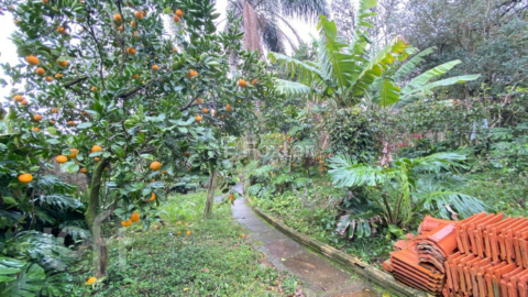 Image 81 - 295645