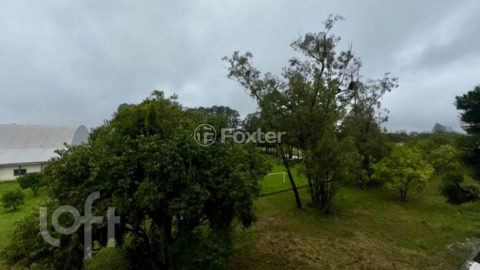Image 6 - 296435