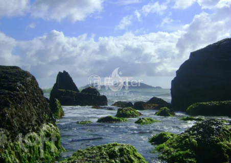 Image 26 - 297966