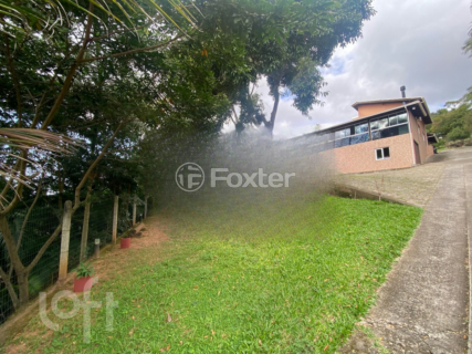 Image 33 - 297990