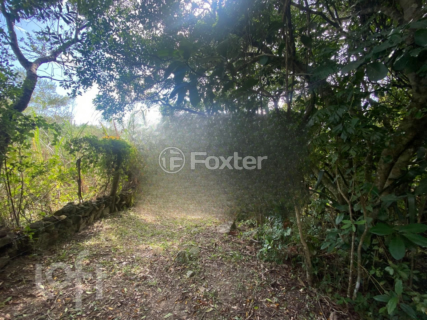 Image 29 - 297990