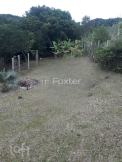 Image 21 - 297990