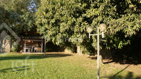 Image 43 - 302447