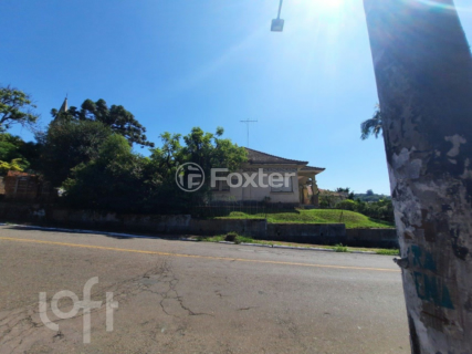 Image 45 - 302672