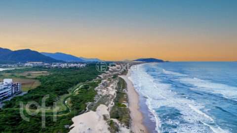 Image 9 - 302829