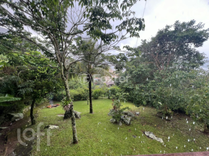 Image 23 - 303437