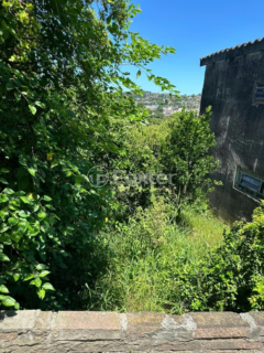 Image 29 - 303475