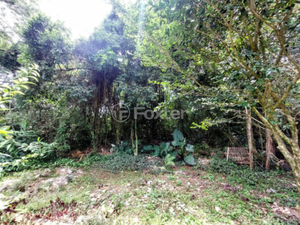 Image 57 - 304701