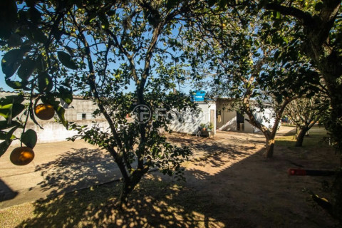 Image 30 - 305170