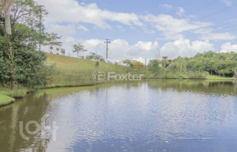Image 40 - 305316