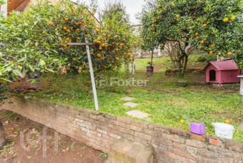Image 36 - 306455
