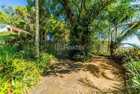 Image 35 - 306556