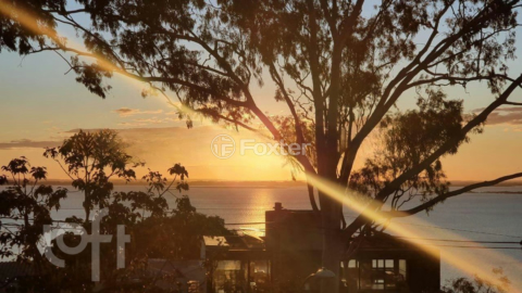 Image 27 - 309302