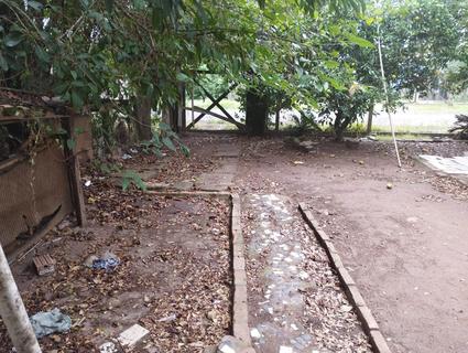 Image 31 - 309334