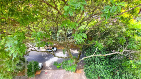 Image 34 - 310724