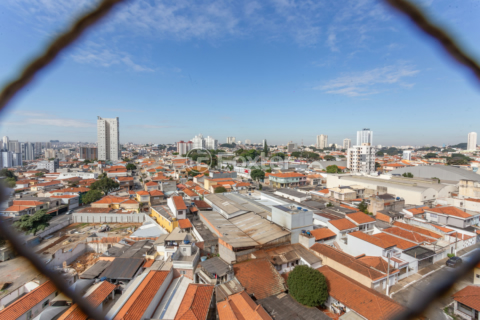 Image 37 - 315253