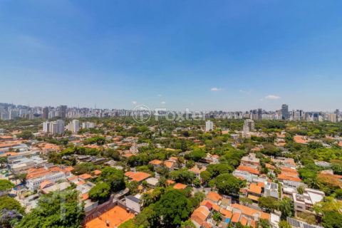 Image 41 - 315338