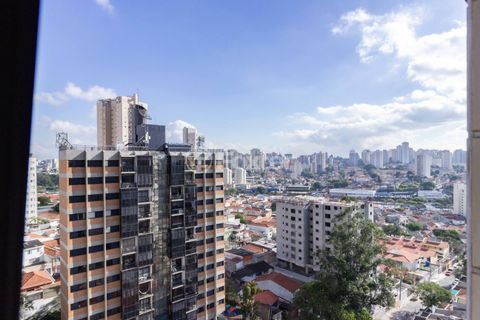 Image 24 - 321118