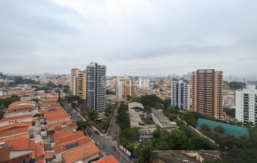 Image 36 - 336678
