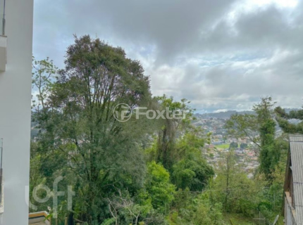 Image 27 - 337964