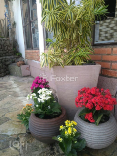 Image 22 - 338642