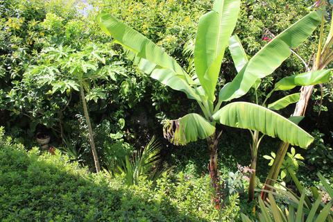 Image 23 - 447285