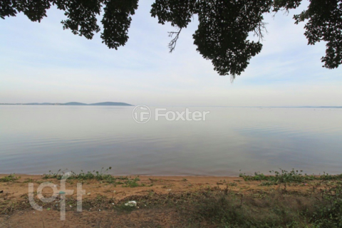 Image 50 - 452539