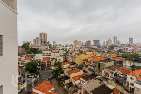 Image 86 - 474454