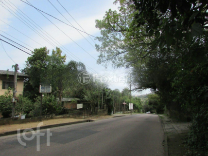 Image 34 - 541303