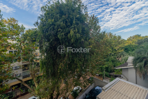 Image 7 - 546337