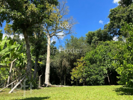 Image 41 - 565245