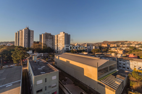 Image 31 - 587879