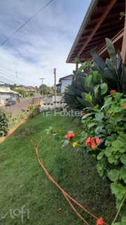 Image 34 - 595688