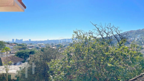 Image 39 - 606959