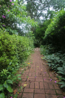 Image 39 - 648551