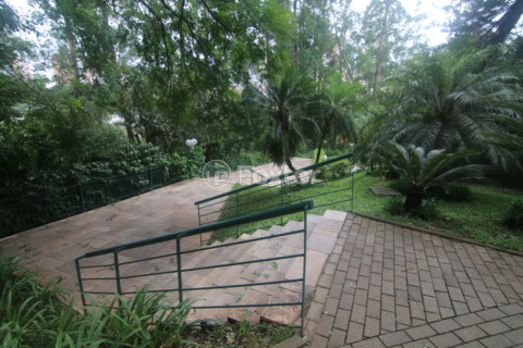 Image 41 - 648551