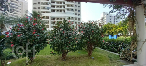 Image 36 - 703951