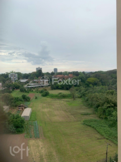 Image 33 - 809797
