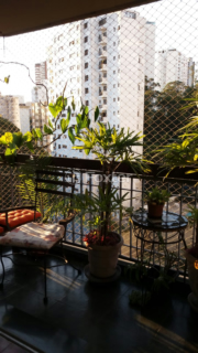 Image 8 - 813648