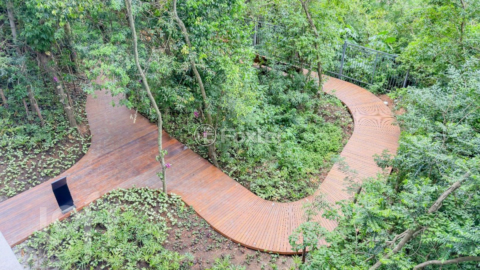 Image 52 - 815024