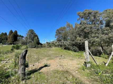 Image 33 - 818033