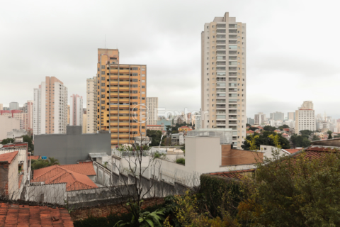 Image 11 - 818210