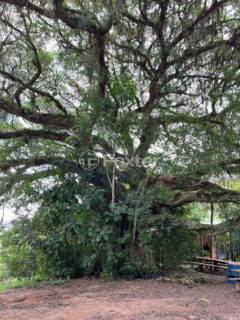 Image 23 - 826381