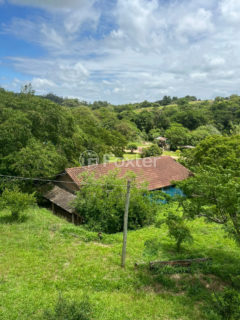 Image 25 - 826381