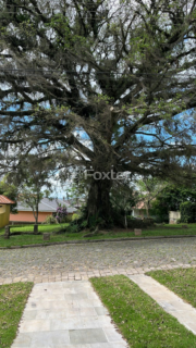 Image 41 - 831817