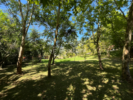 Image 32 - 831817
