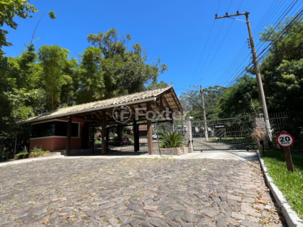 Image 36 - 831817