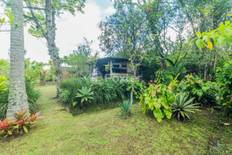 Image 30 - 832898