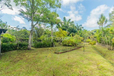 Image 31 - 832898