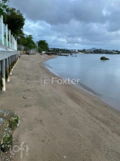 Image 73 - 833389